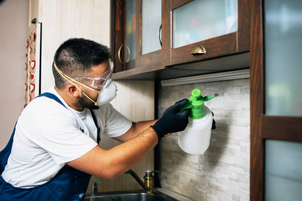 Best Termite Control Services  in Niagara Falls, NY