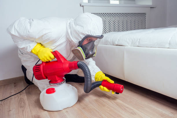 Wildlife Control Services in Niagara Falls, NY