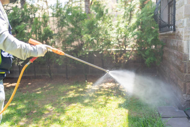 Pest Prevention Services in Niagara Falls, NY